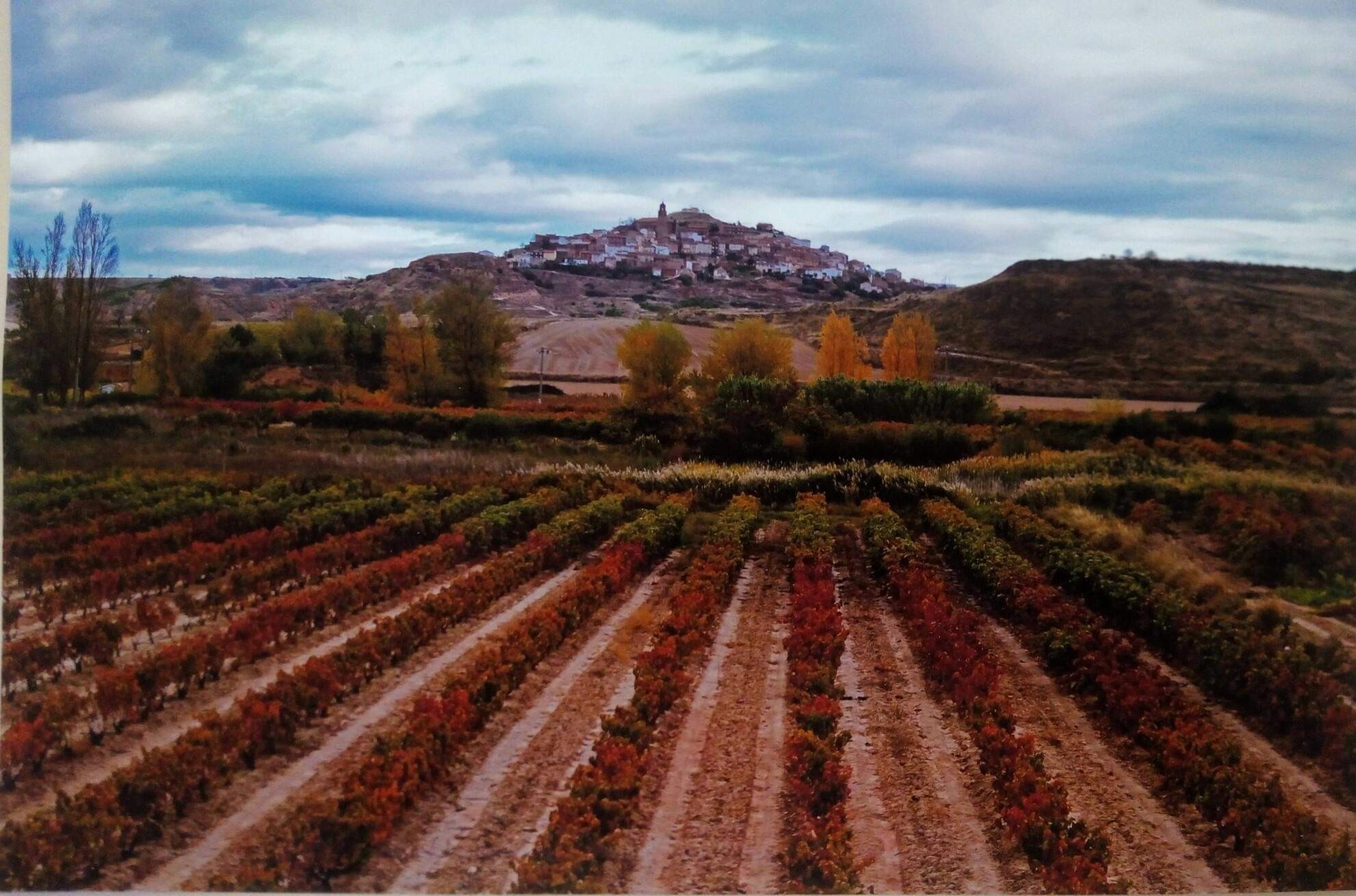 圣米格尔酒庄(bodegas san miguel)