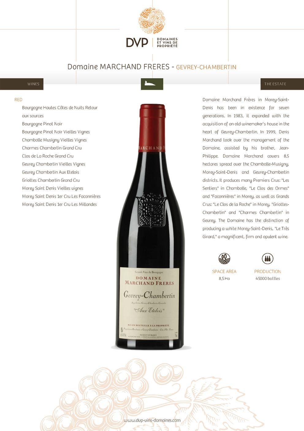 Domaine Marchand Freres Gevrey Chambertin 庄园葡萄酒Domaine