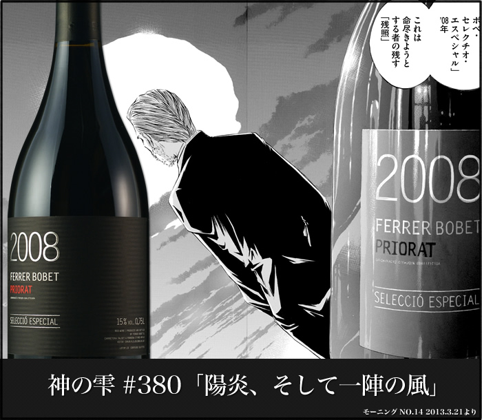 神之水滴第十一使徒 夕阳 黑标14 Ferrer Bobet Seleccio Especial Vinyes Velles14招商价格 西班牙加泰罗尼亚普里奥拉托费雷尔博贝特