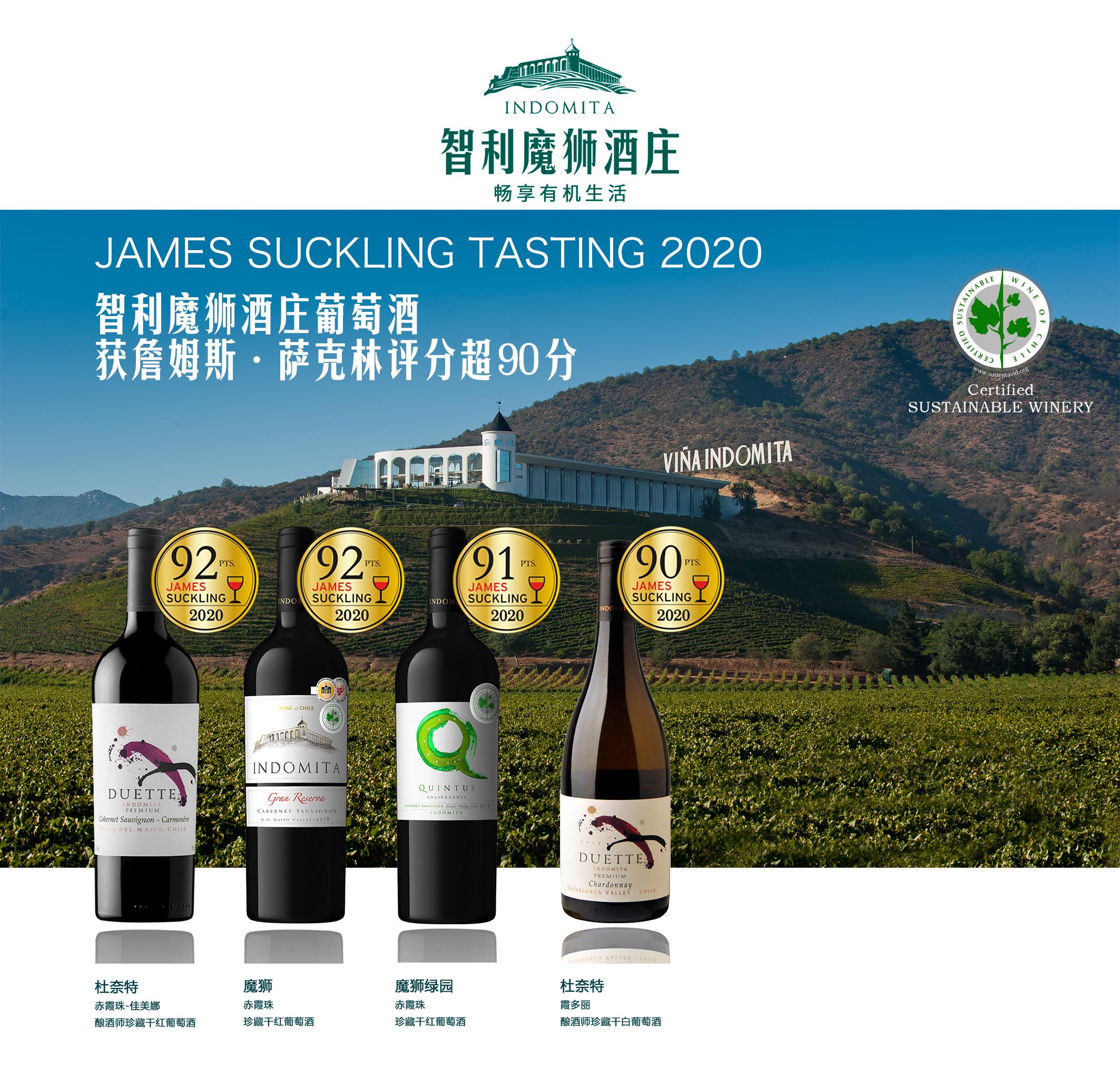 sauvignon gran reserva red wine招商价格(智利 中央山谷 魔狮酒庄)