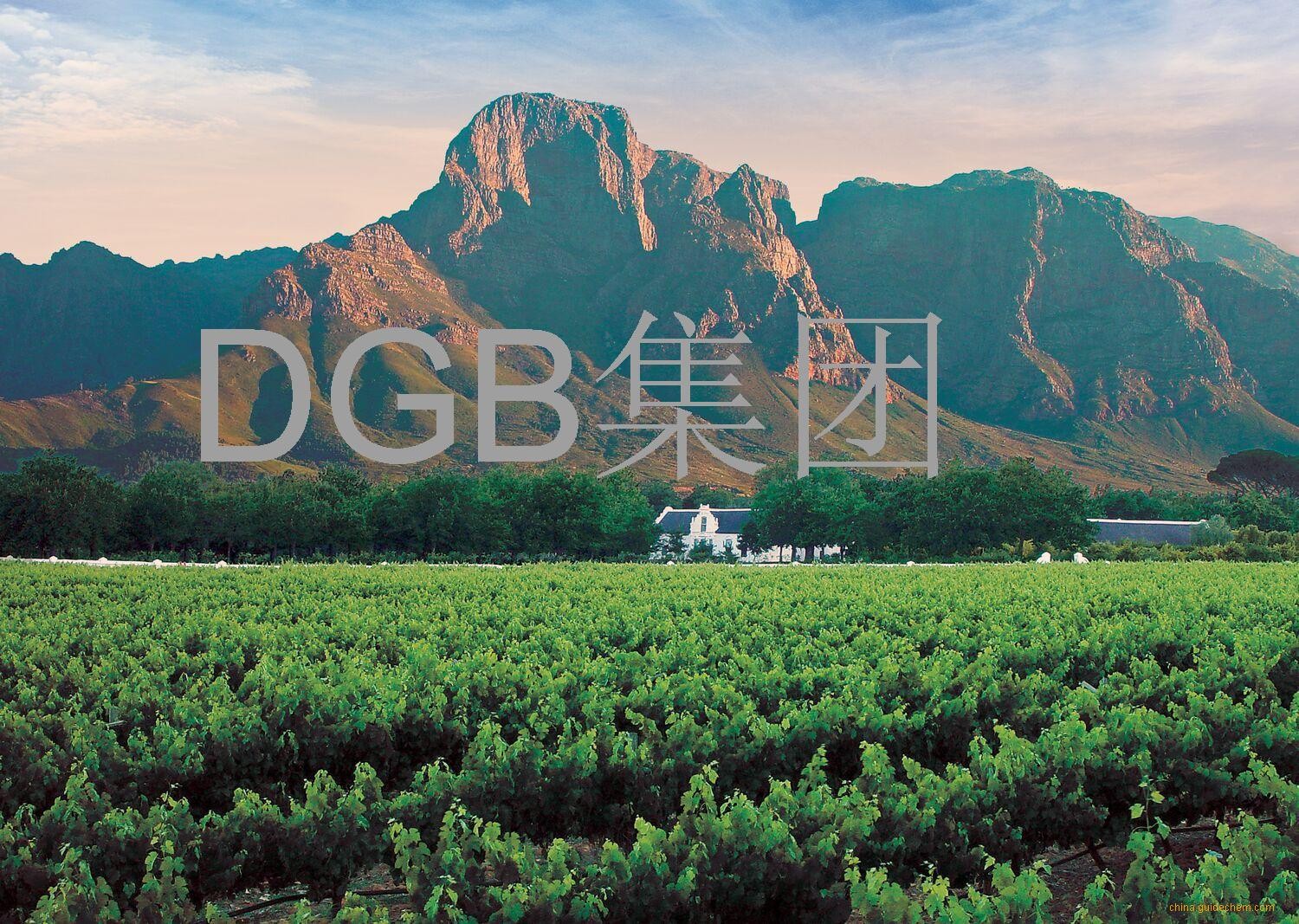 DGB酒业集团(DGB (Pty) Ltd.)