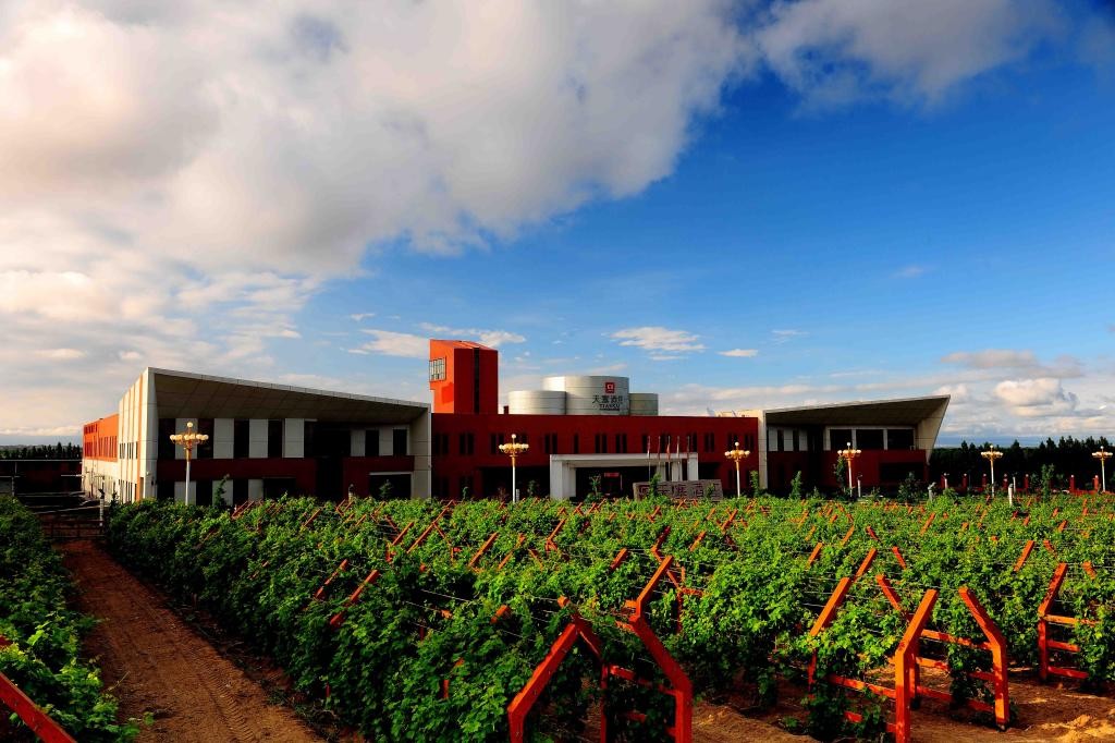 天塞酒庄(tiansai vineyards(中国新疆)