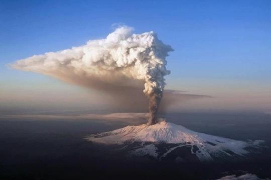 牧歌酒庄——与火山为邻的葡萄园